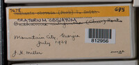 Image Associated With the Occurence